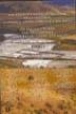 Las salinas y la sal de interior en la historia : economía, medioambiente y sociedad
