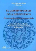 El laberinto social de la delincuencia : jóvenes adolescentes en la encrucijada