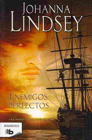 Enemigos perfectos