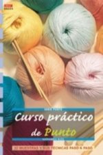 Curso práctico de punto