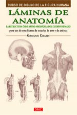 Láminas de anatomía: la estructura óseo-artro-miológica del cuerpo humano