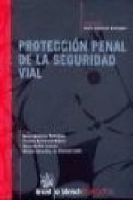 Protección penal de la seguridad vial