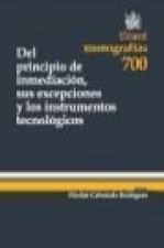 Del principio de inmediación, sus excepciones y los instrumentos tecnológicos