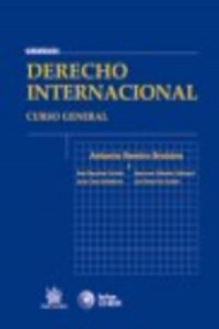 Derecho internacional : curso general