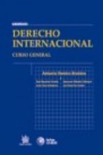 Derecho internacional : curso general