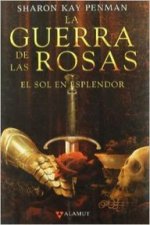 El sol en esplendor