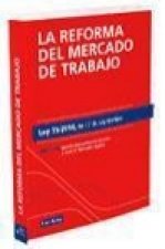 La reforma del mercado de trabajo. Ley 35/2010, de 17 de septiembre.