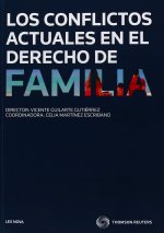 Conflictos actuales del derecho de familia