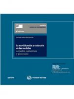 MODIFICACION Y EXTINCION DE LAS MEDIDAS,LA