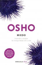 Miedo : entender y aceptar las inseguridades de la vida