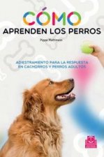 Cómo aprenden los perros