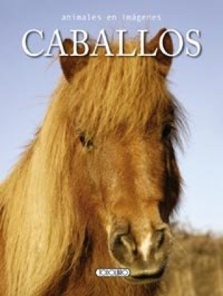 Caballos