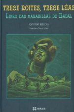 Trece noites, trece lúas : libro das marabillas do Nadal