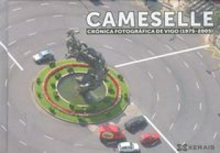 Cameselle : crónica fotográfica de Vigo. 1975-2005