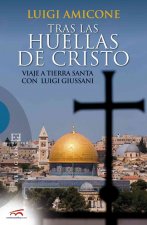 Tras las huellas de Cristo : viaje a Tierra Santa con Luigi Giussani