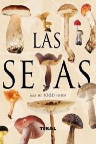 Setas
