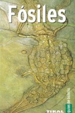 Fósiles