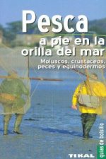 Pesca a pie en la orilla del mar