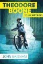 Theodore Boone 1. El noi advocat