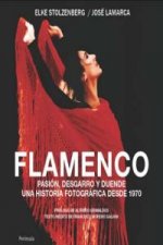 Flamenco : pasión, desgarro y duende : una historia fotográfica desde 1970