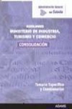 Auxiliares, consolidación de empleo, Administración General del Estado, Ministerio de Industria, Turismo y Comercio. Temario específico y cuestionario