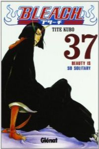 Bleach 37