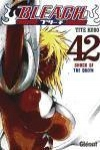 Bleach 42
