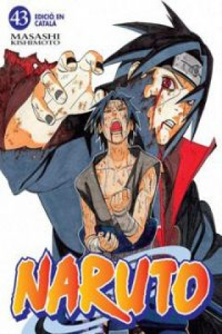 NARUTO CATALAN 43 (COMIC)