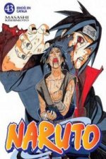 NARUTO CATALAN 43 (COMIC)