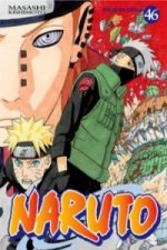 NARUTO CATALAN 46 (COMIC)