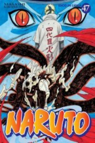 NARUTO CATALAN 47 (COMIC)