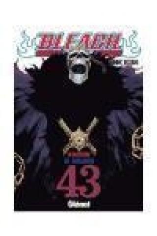 BLEACH 43 (COMIC)