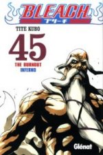 Bleach 45