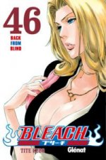 BLEACH 46 (COMIC)