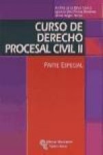 Curso de derecho procesal civil II : parte especial