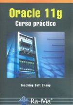 Oracle 11g : curso práctico