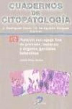 Punción con aguja fina de próstata, testículo y órganos genitales femeninos : cuadernos de citopatología 12