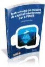 Instrument de mesura de capital intellectual per a PIMES