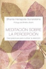 Meditación sobre la percepción