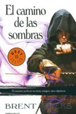 El camino de las sombras (El Ángel de la Noche 1)