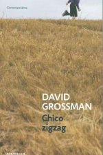 Chico zigzag