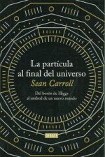 La partícula al final del universo : del bosón de Higgs al umbral de un nuevo mundo