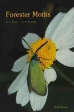 Forester Moths: The Genera Theresimima Strand, 1917, Rhagades Wallengren, 1863, Jordanita Verity, 1946, and Adscita Retzius, 1783 (Lep