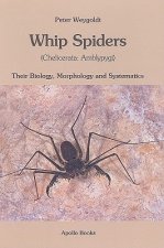 Whip Spiders: Their Biology, Morphology and Systematics (Chelicerata: Amblypygi)
