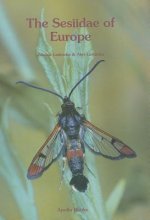 The Sesiidae of Europe