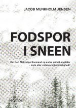FODSPOR I SNEEN