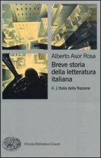 Breve storia della letteratura italiana - Vol. II