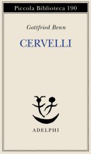 Cervelli