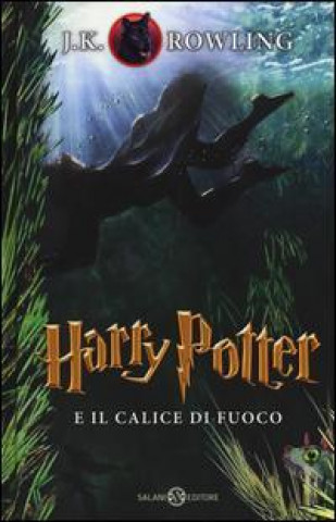 Harry Potter 4 e il calice di fuoco