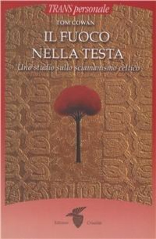 Il fuoco nella testa